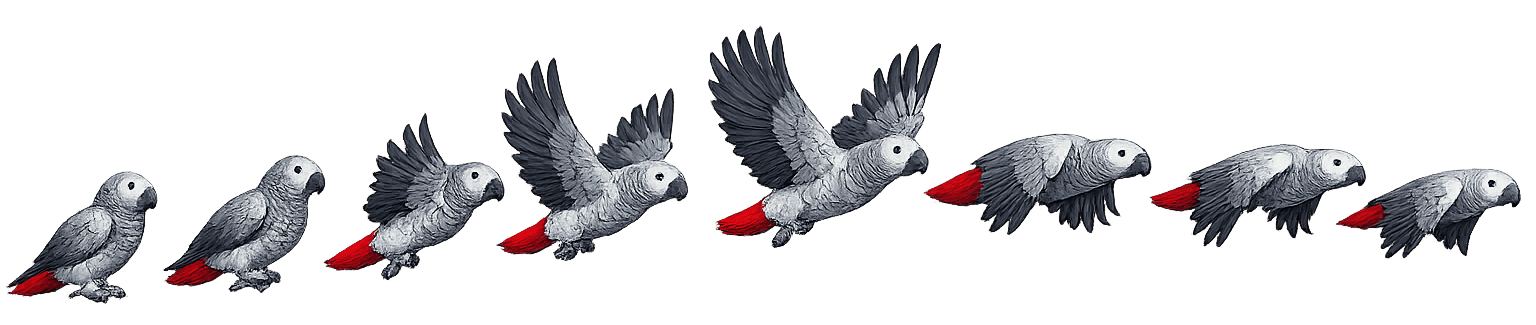 Jackob the grey parrot mascot flying — Jackob.ai AI transcription service